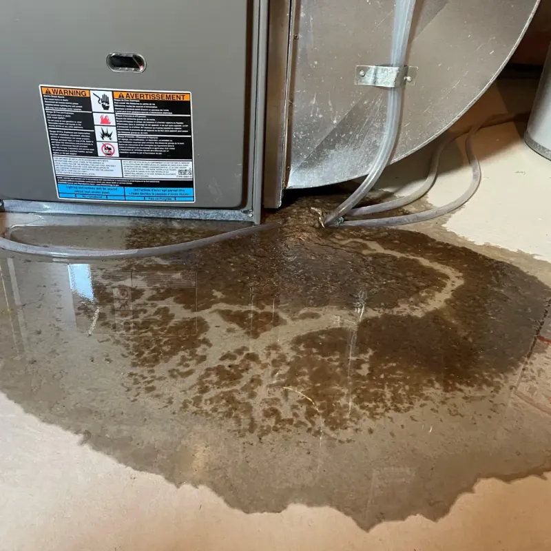 Appliance Leak Cleanup in Wrightsboro, NC